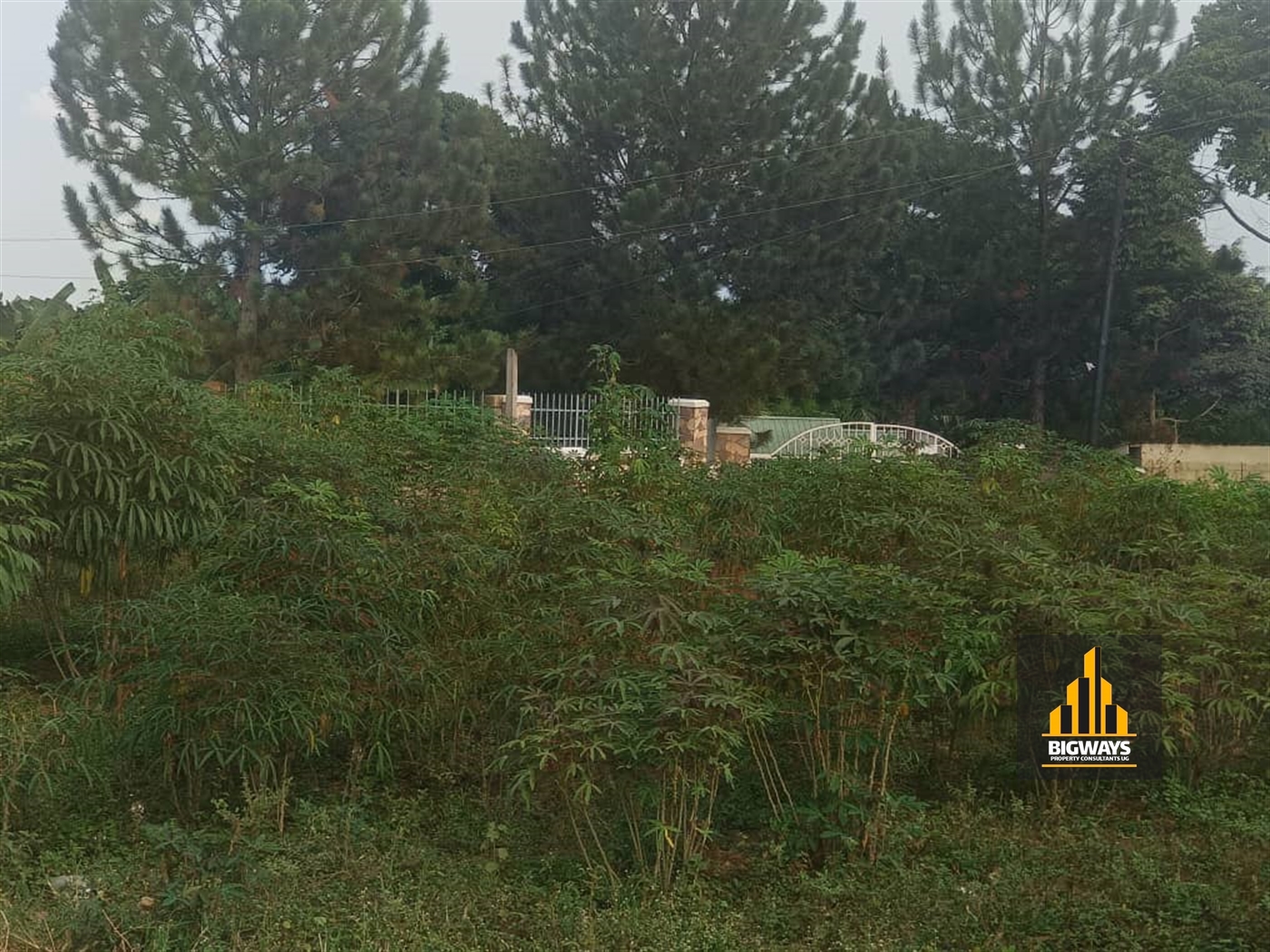 Residential Land for sale in Kigo Wakiso