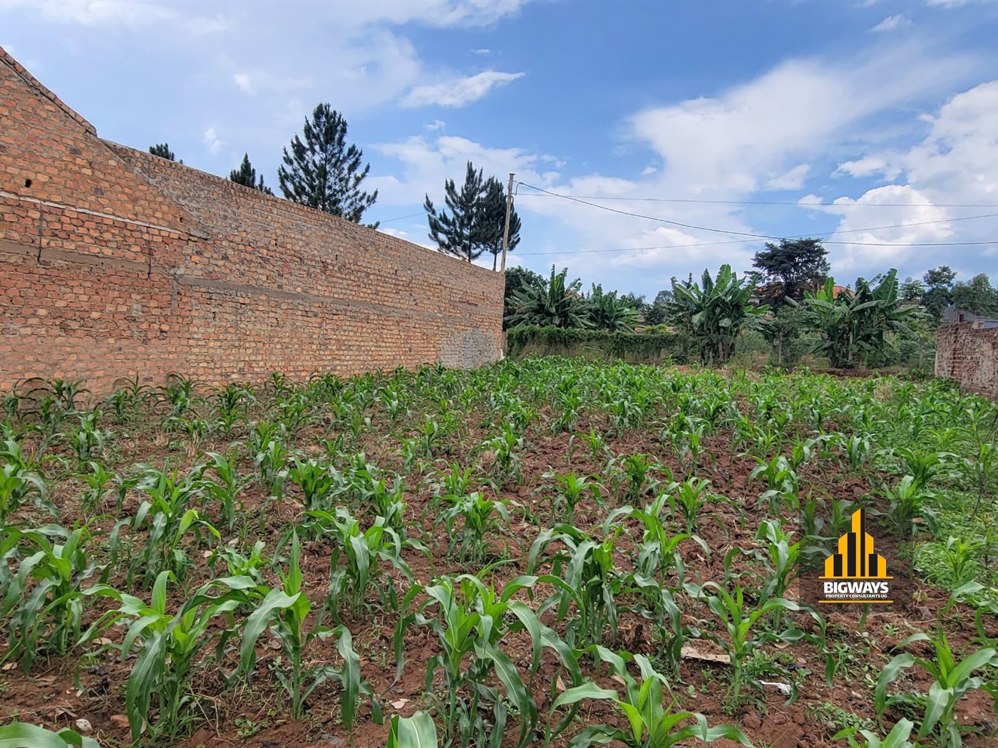 Residential Land for sale in Nsasa Wakiso