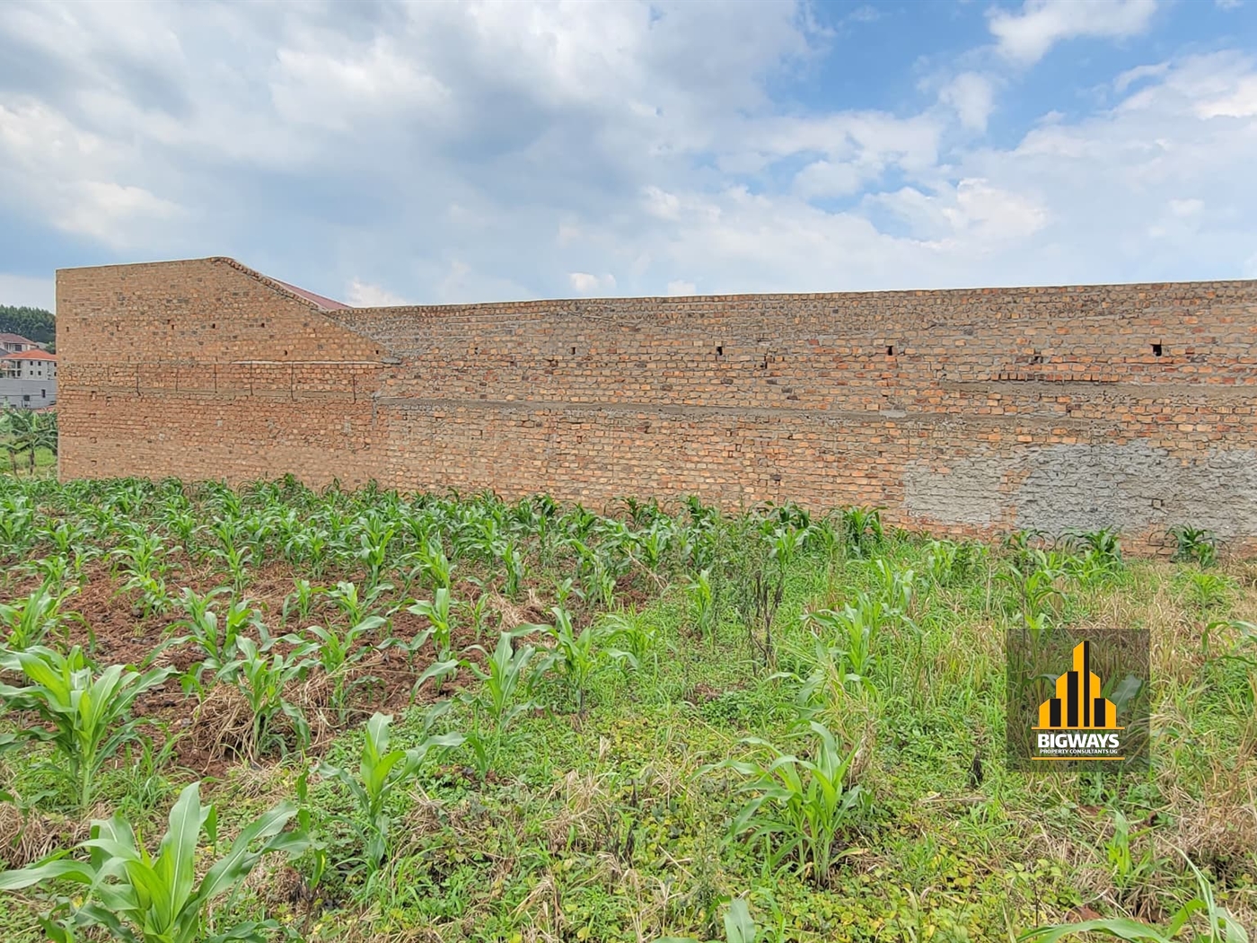 Residential Land for sale in Nsasa Wakiso