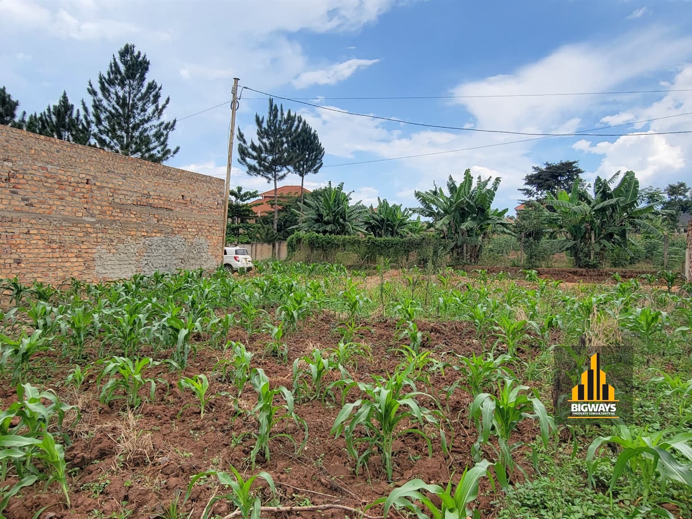 Residential Land for sale in Nsasa Wakiso