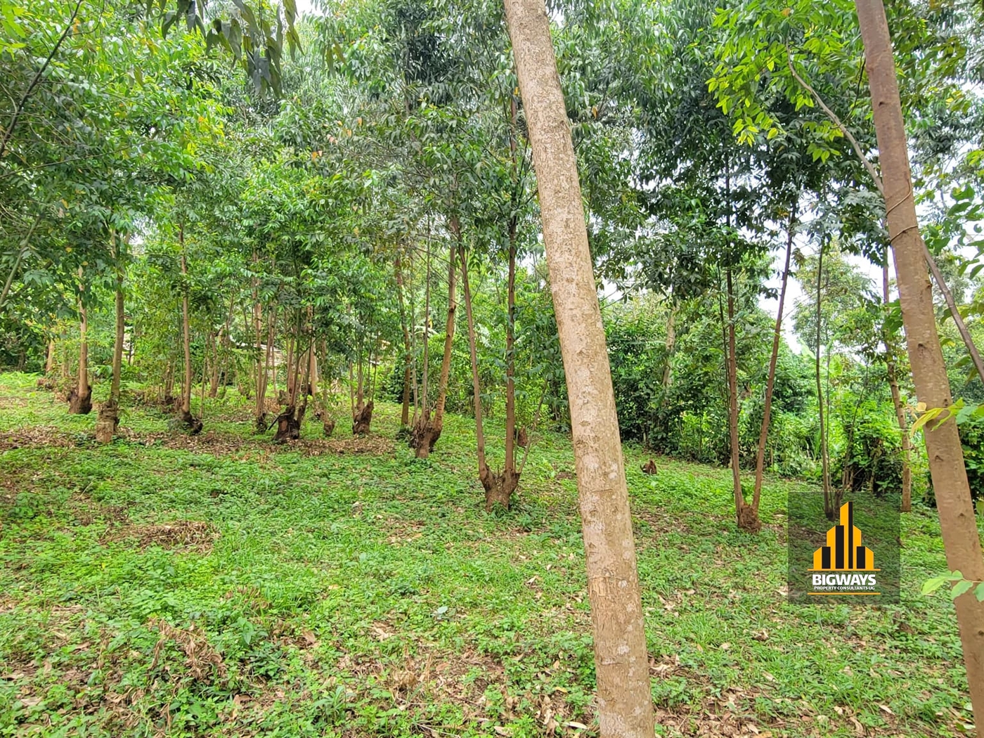 Residential Land for sale in Mulawa Wakiso