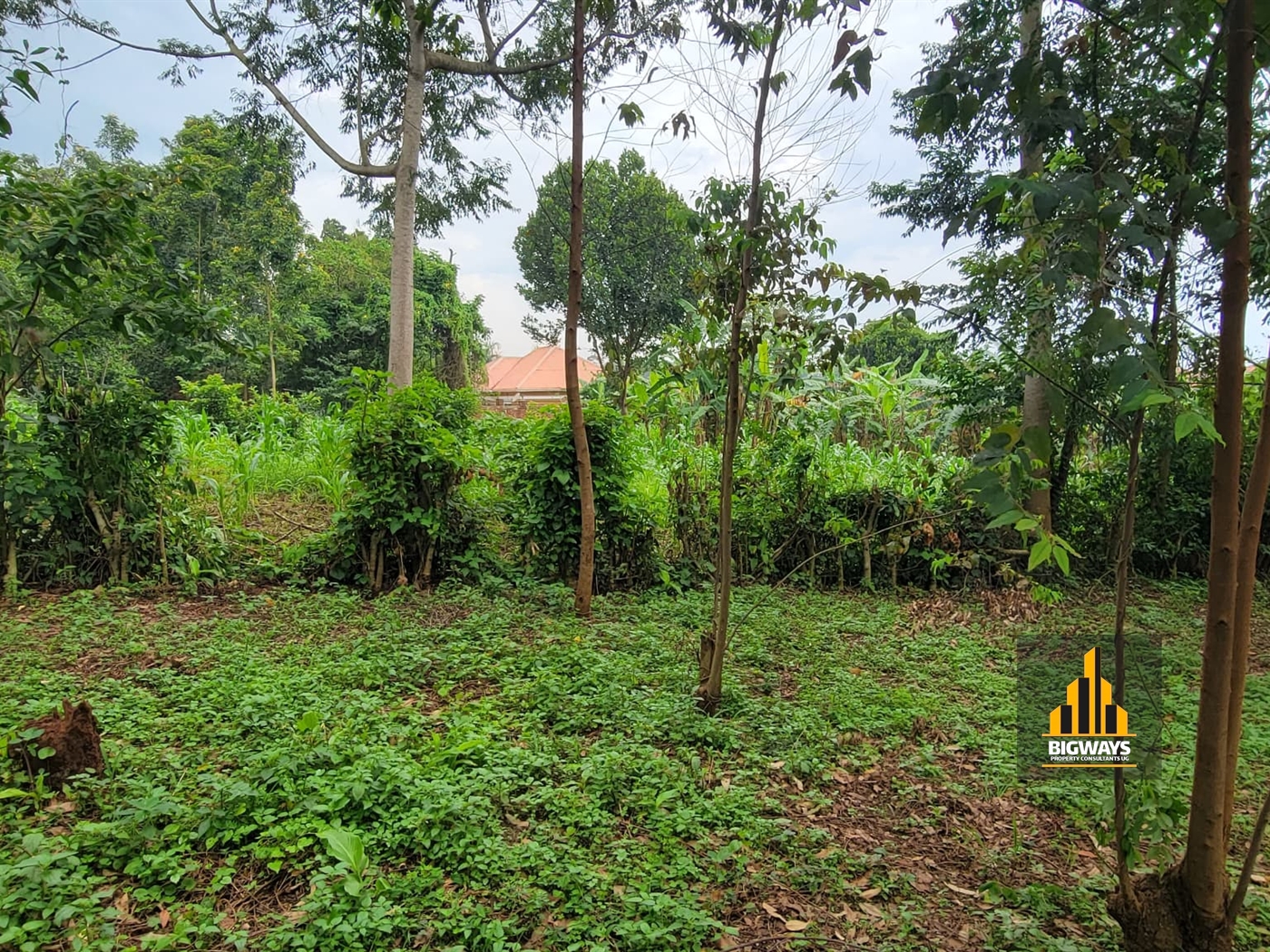 Residential Land for sale in Mulawa Wakiso