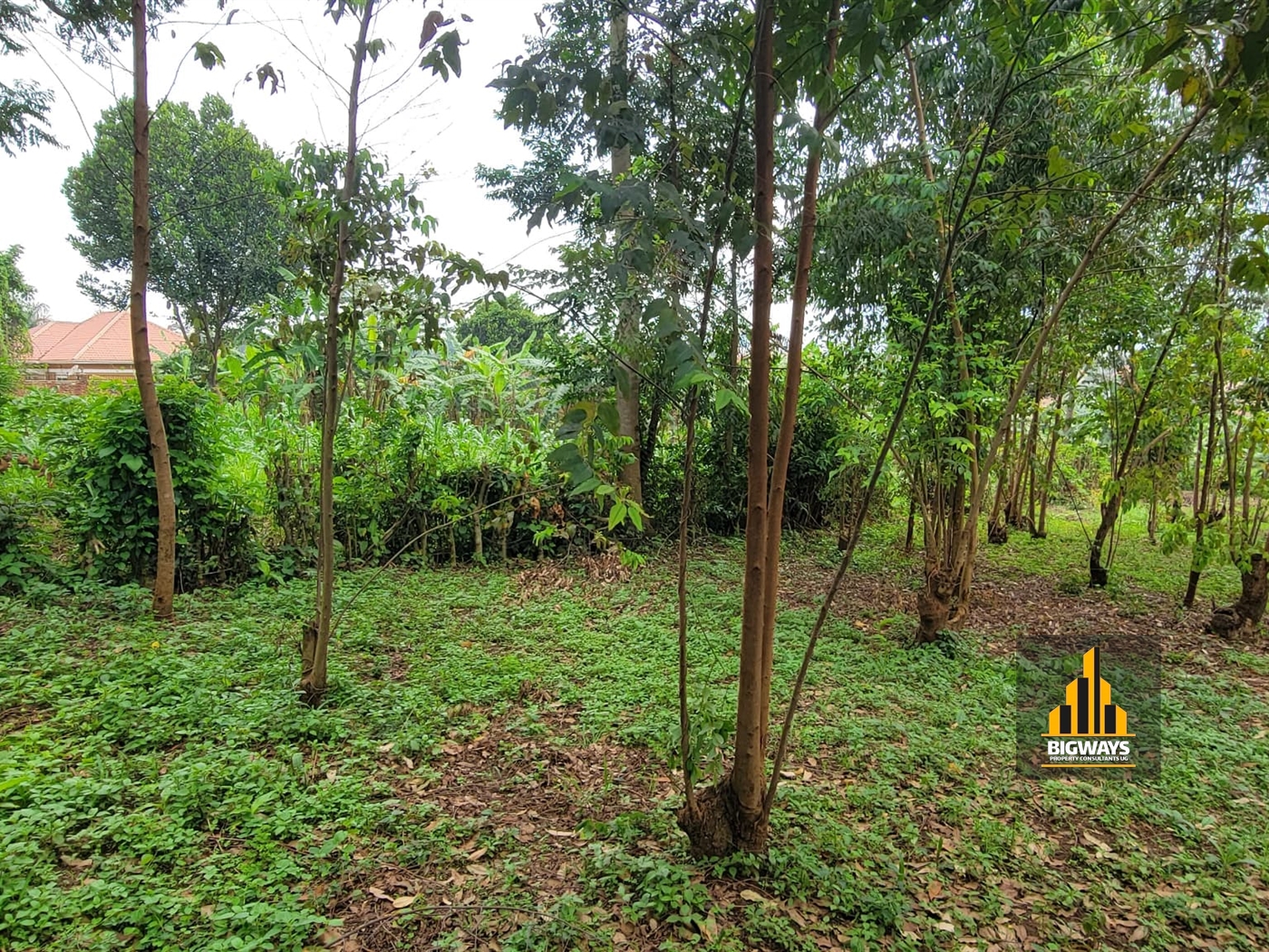 Residential Land for sale in Mulawa Wakiso