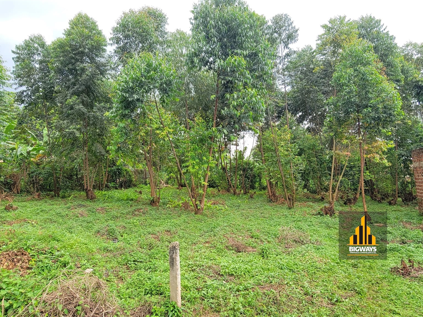 Residential Land for sale in Mulawa Wakiso