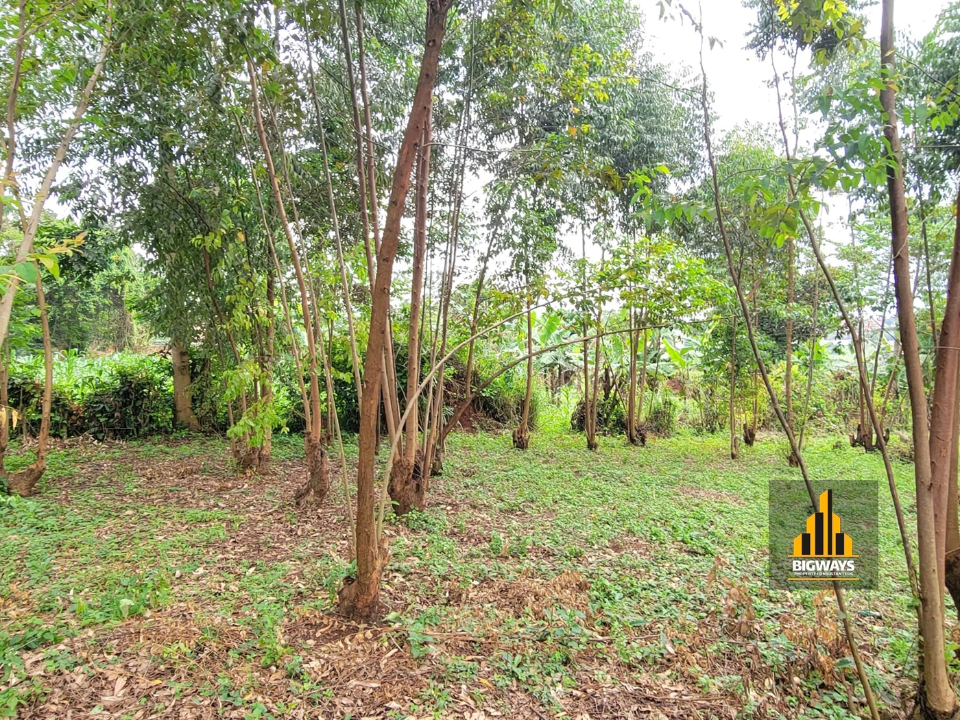 Residential Land for sale in Mulawa Wakiso