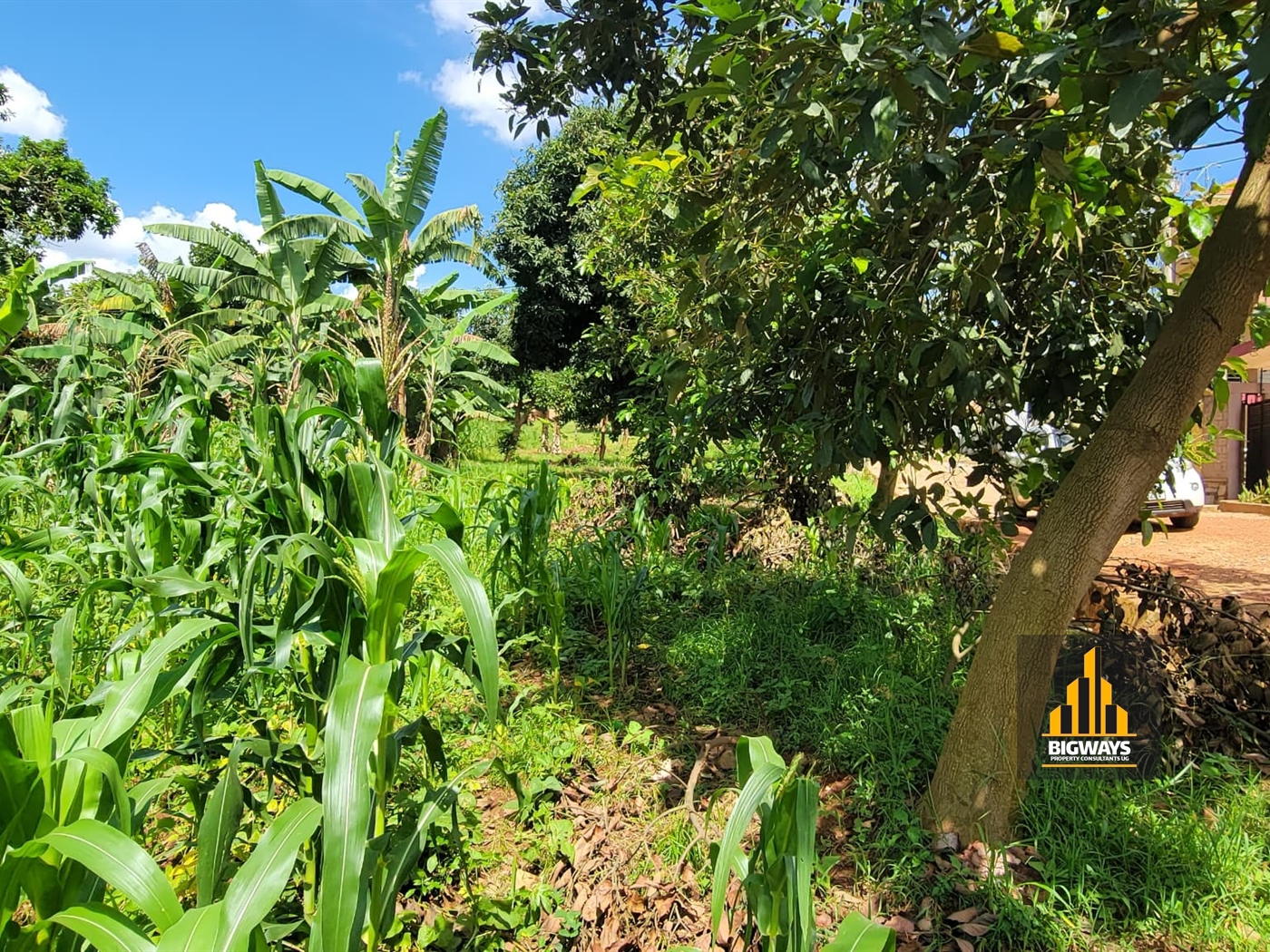 Residential Land for sale in Naalya Wakiso