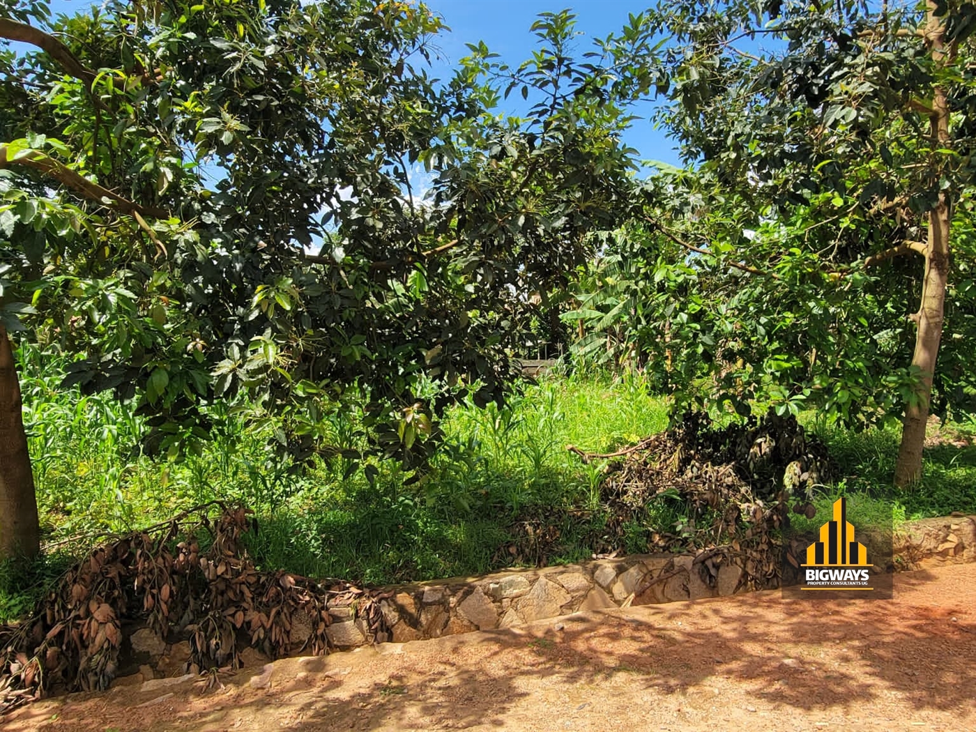 Residential Land for sale in Naalya Wakiso