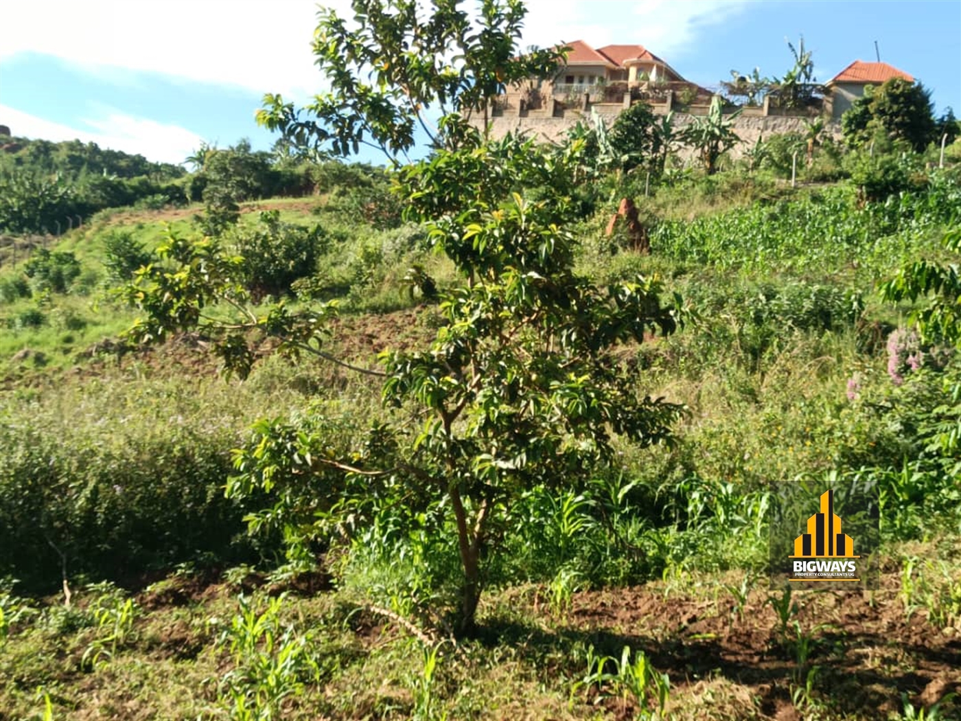 Residential Land for sale in Kitende Wakiso