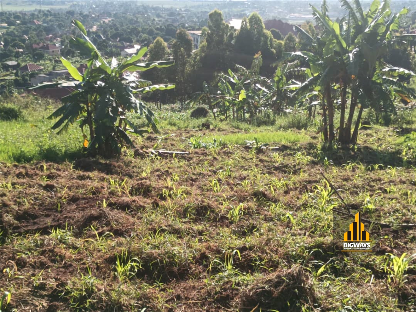 Residential Land for sale in Kitende Wakiso