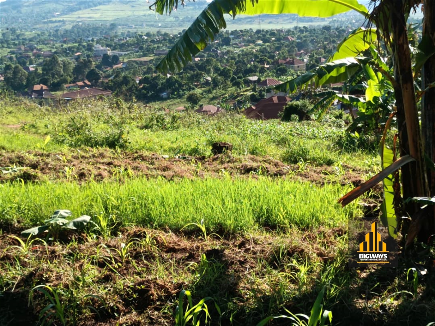 Residential Land for sale in Kitende Wakiso