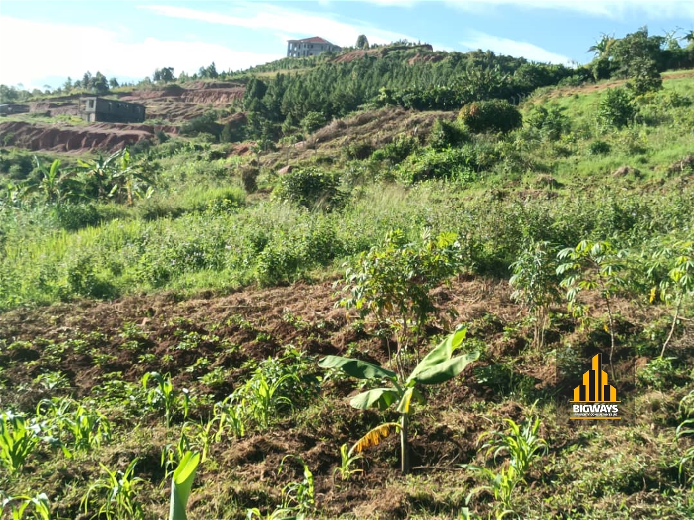 Residential Land for sale in Kitende Wakiso