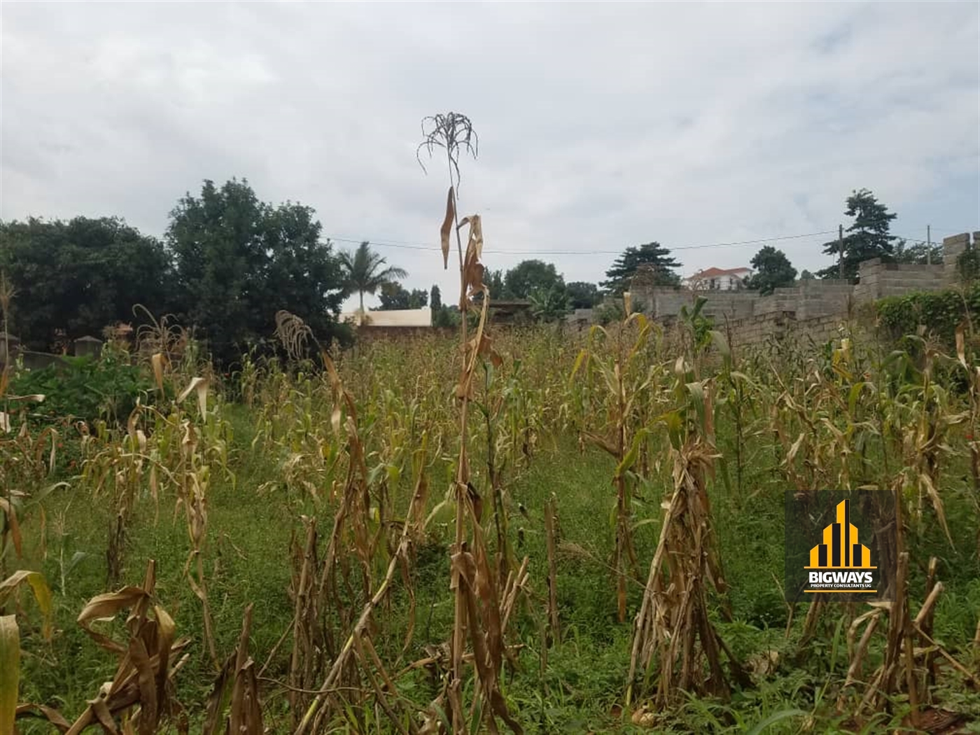 Residential Land for sale in Kisaasi Kampala