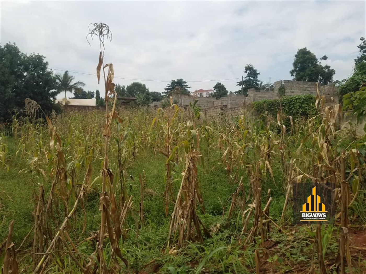 Residential Land for sale in Kisaasi Kampala