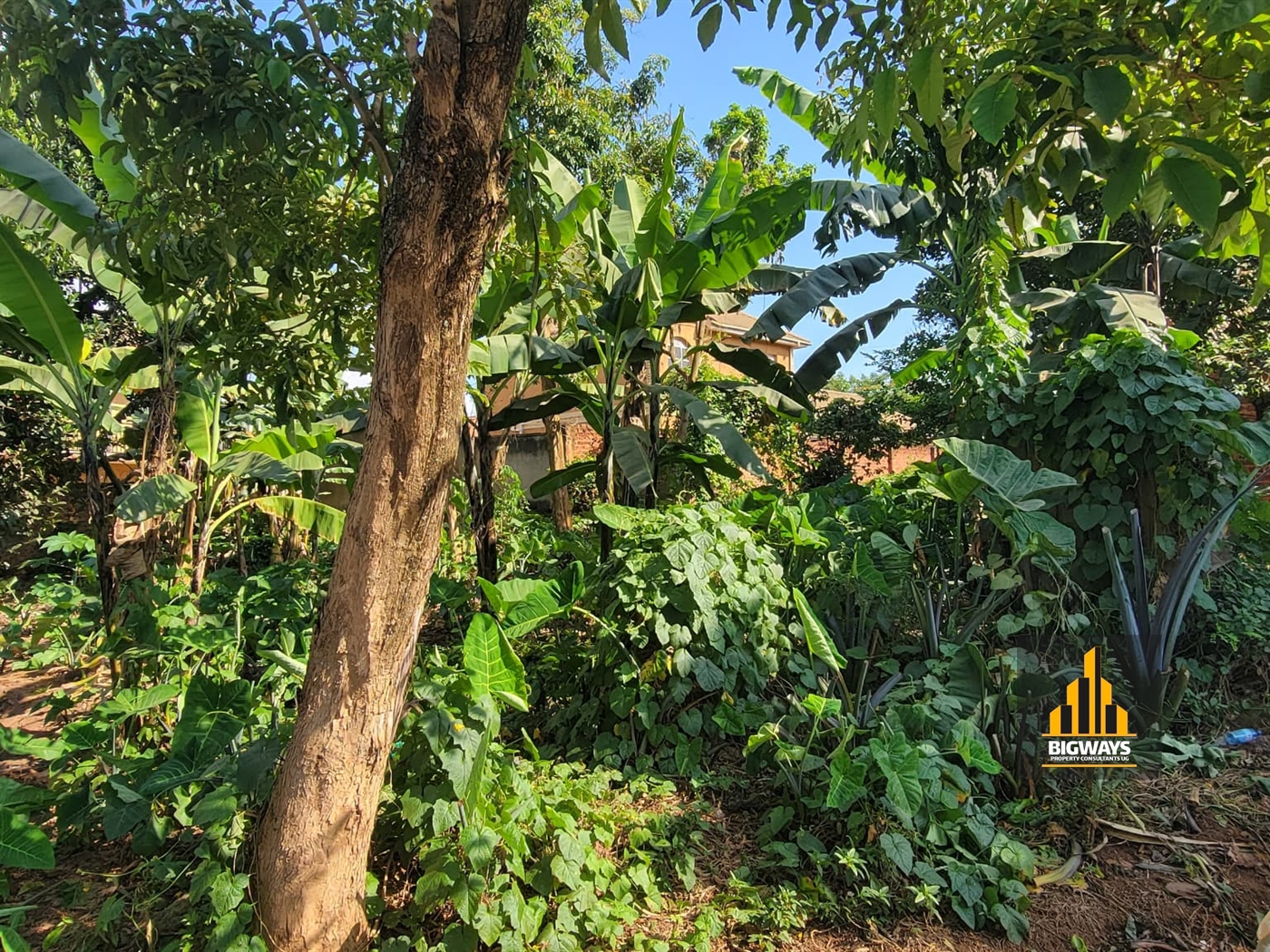 Residential Land for sale in Kyaliwajjala Wakiso