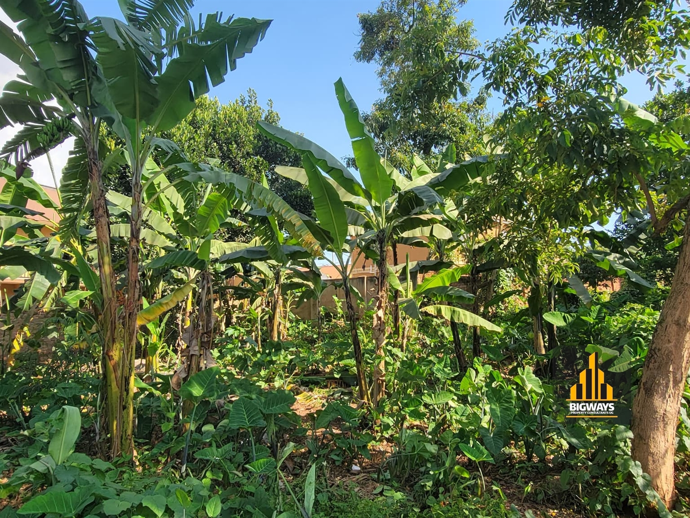 Residential Land for sale in Kyaliwajjala Wakiso