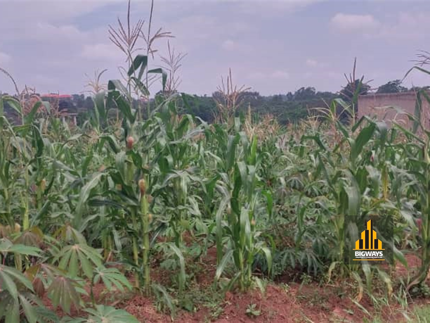 Residential Land for sale in Kira Wakiso