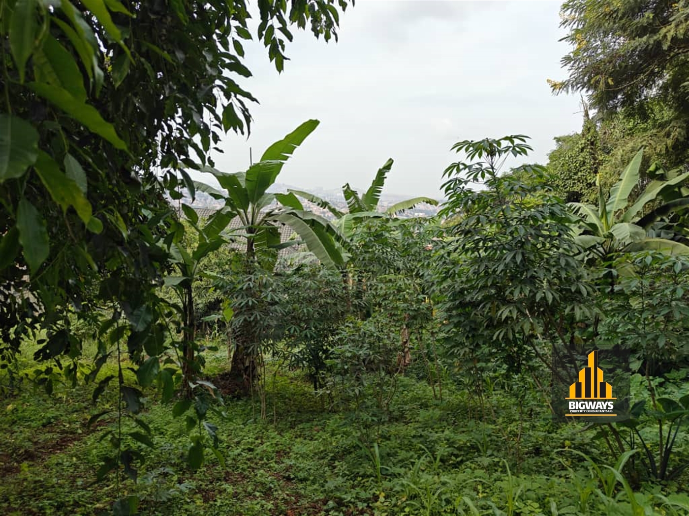 Residential Land for sale in Makindye Kampala