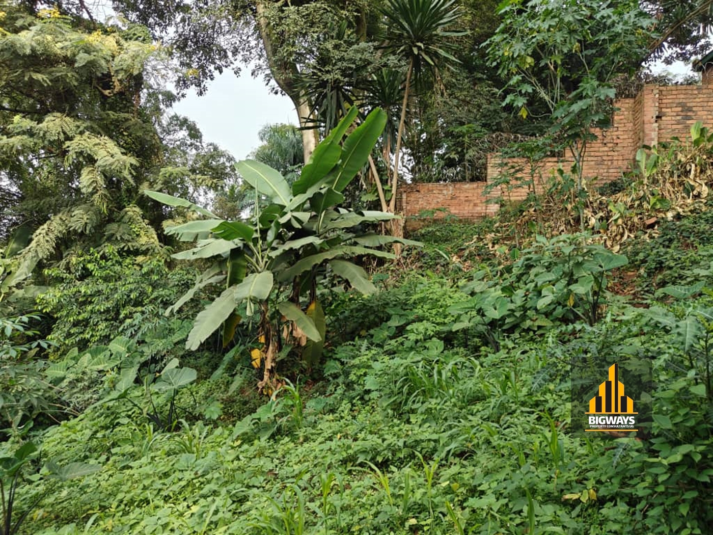 Residential Land for sale in Makindye Kampala