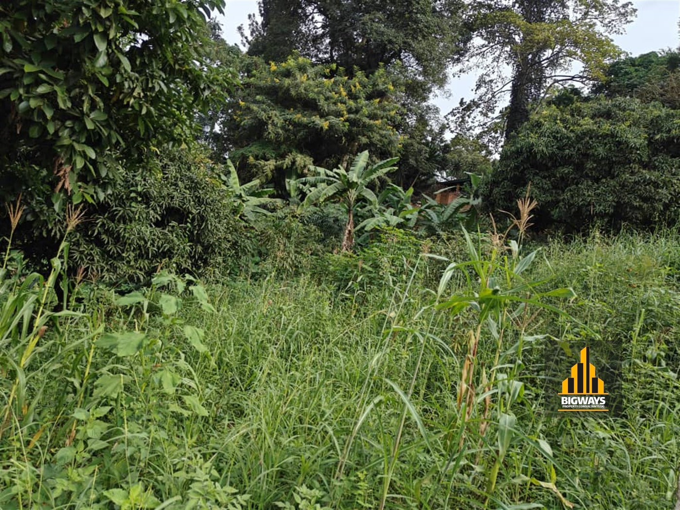 Residential Land for sale in Makindye Kampala