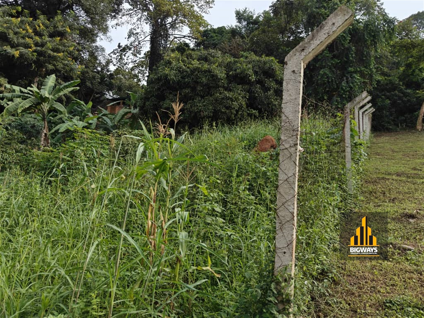 Residential Land for sale in Makindye Kampala