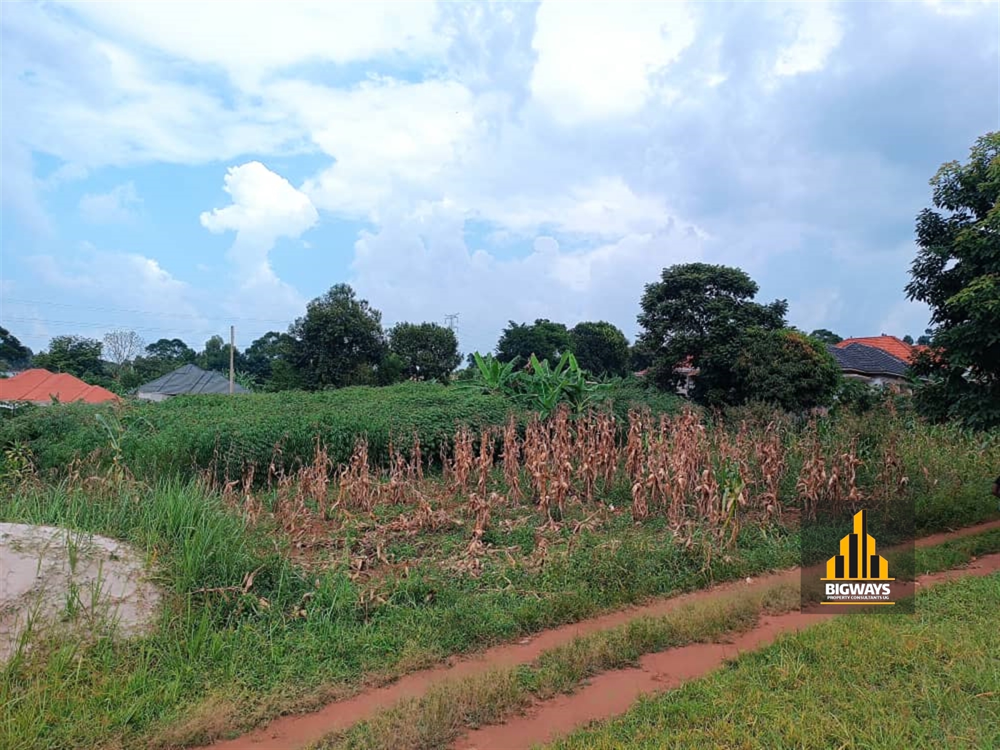 Residential Land for sale in Misindye Wakiso