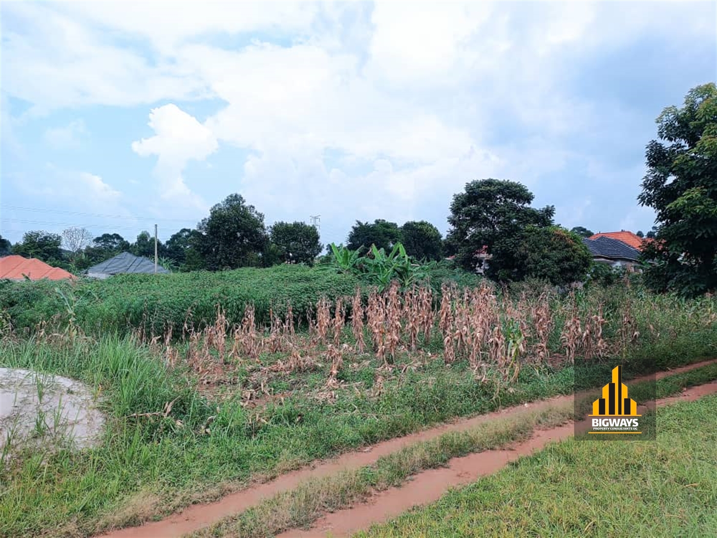 Residential Land for sale in Misindye Wakiso