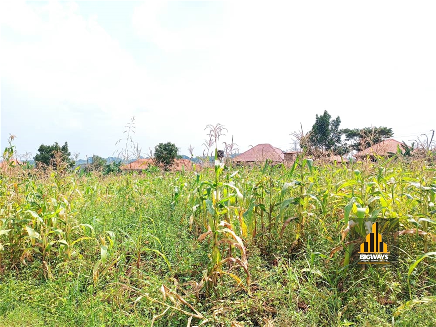 Residential Land for sale in Kiwango Wakiso