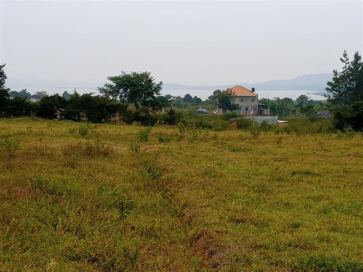 Multipurpose Land for sale in Buwaya Wakiso