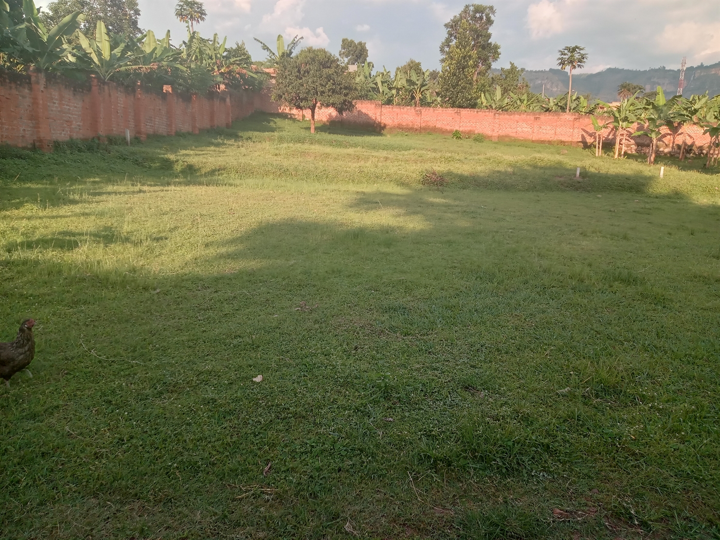 Commercial Land for sale in Seniorquarter Mbaale