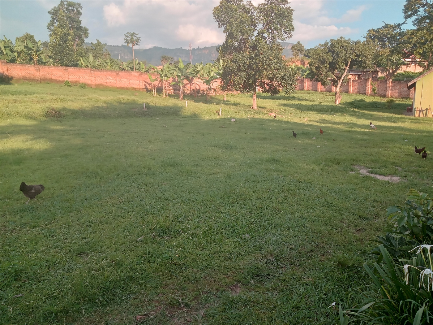 Commercial Land for sale in Seniorquarter Mbaale