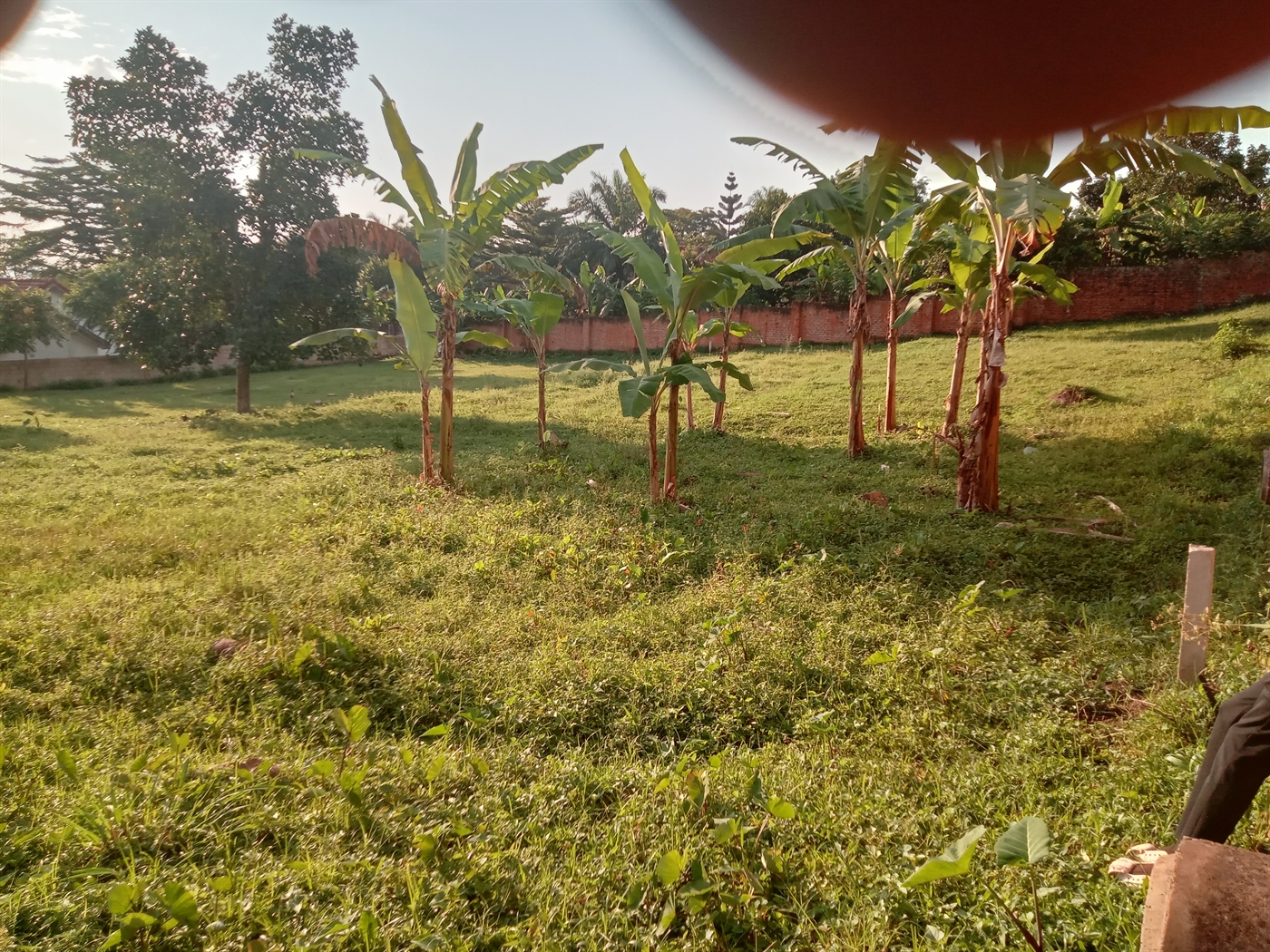 Commercial Land for sale in Seniorquarter Mbaale