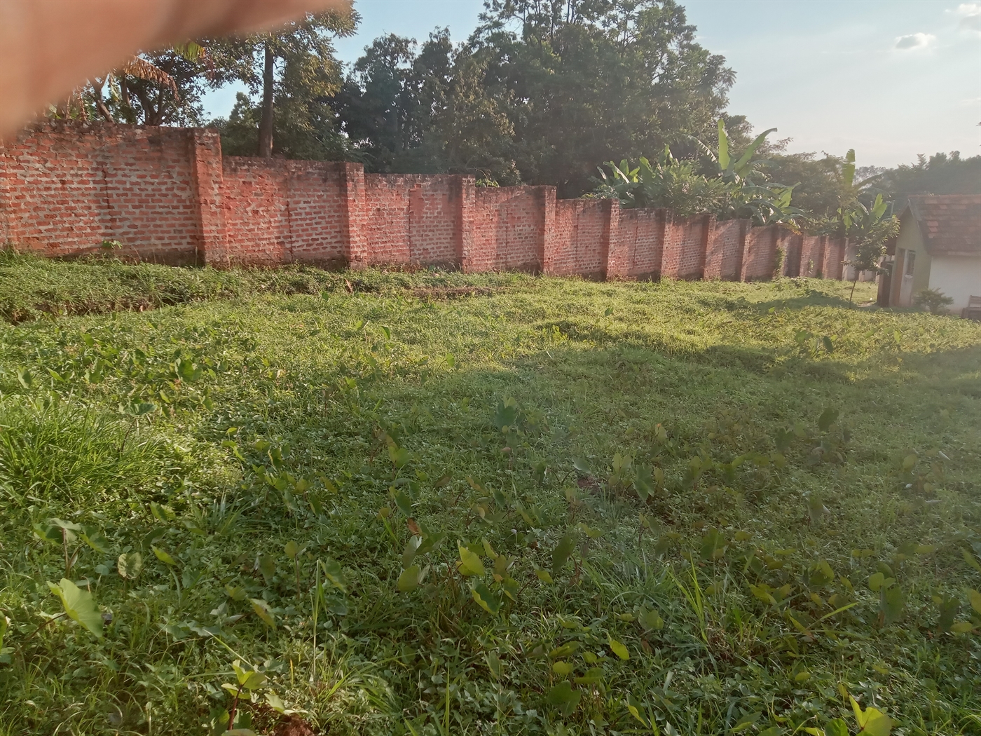 Commercial Land for sale in Seniorquarter Mbaale