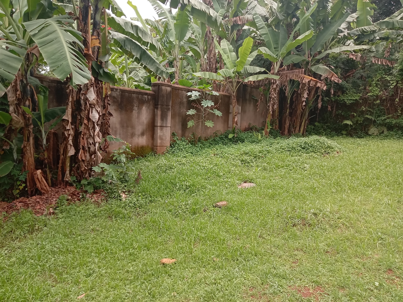 Bungalow for rent in Seniorquarter Mbaale