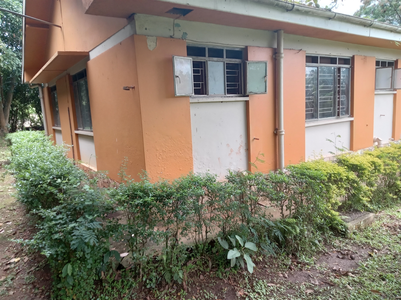 Bungalow for rent in Seniorquarter Mbaale