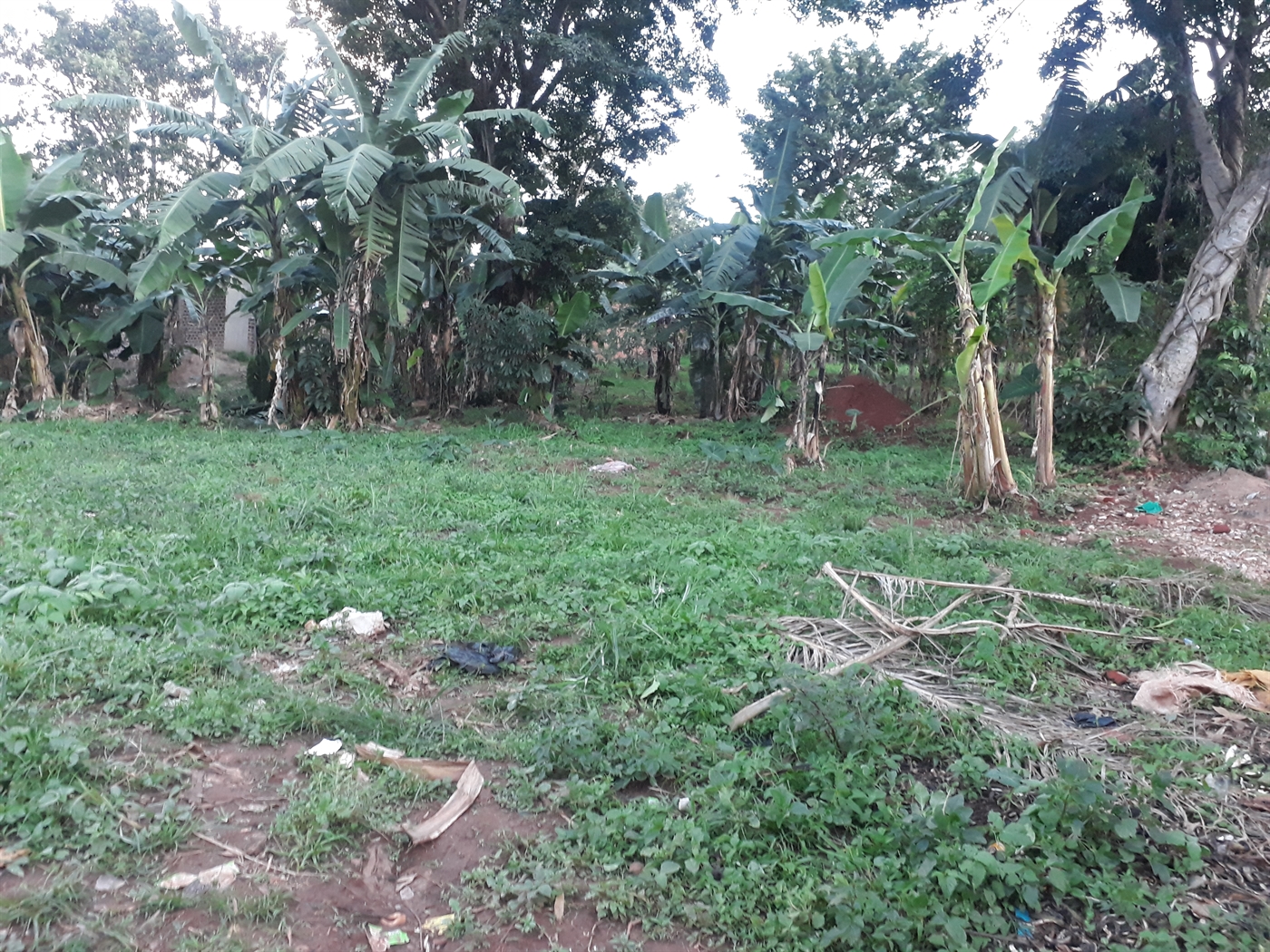 Residential Land for sale in Busaabala Wakiso