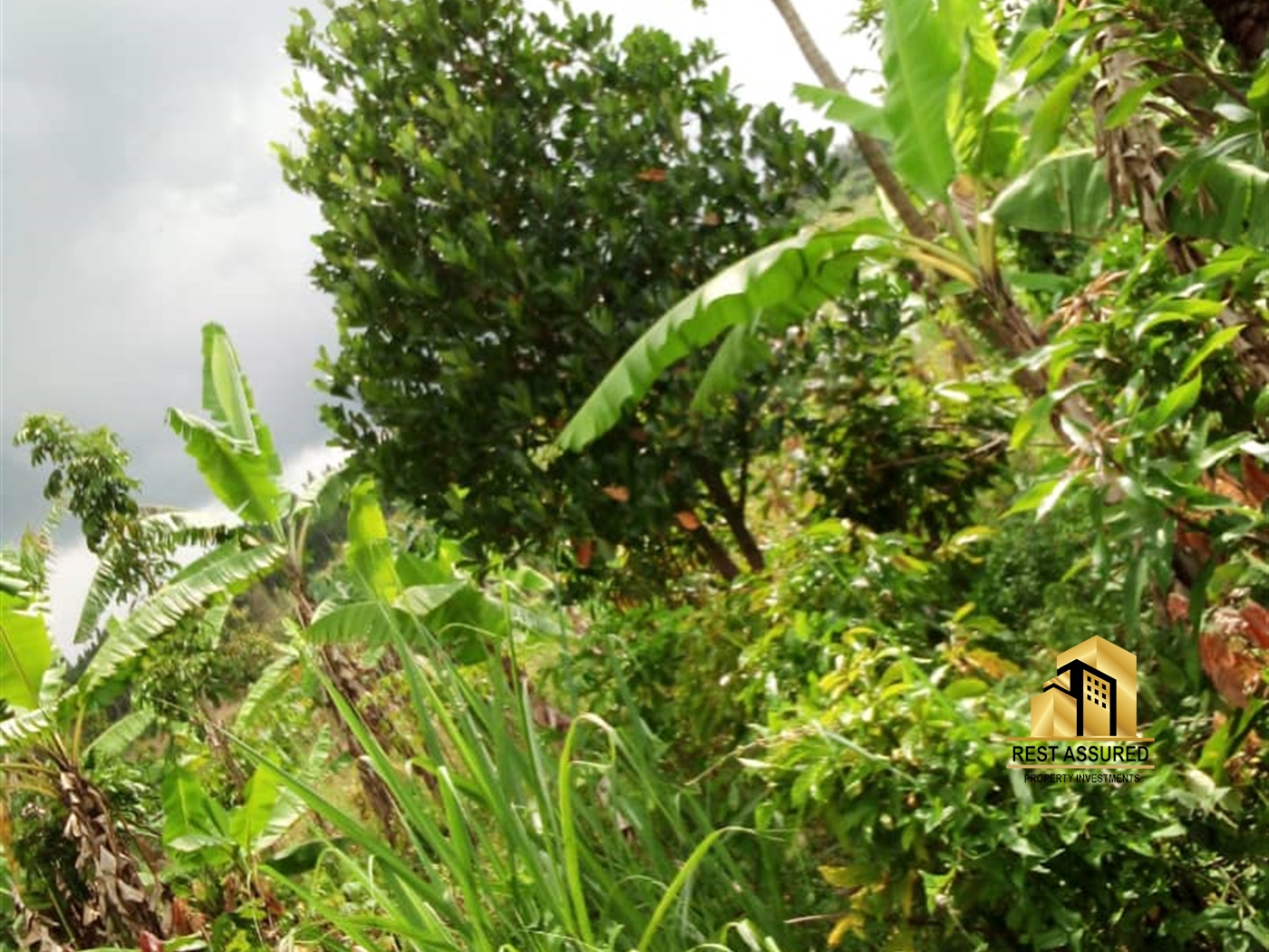 Multipurpose Land for sale in Nkokonjeru Mukono