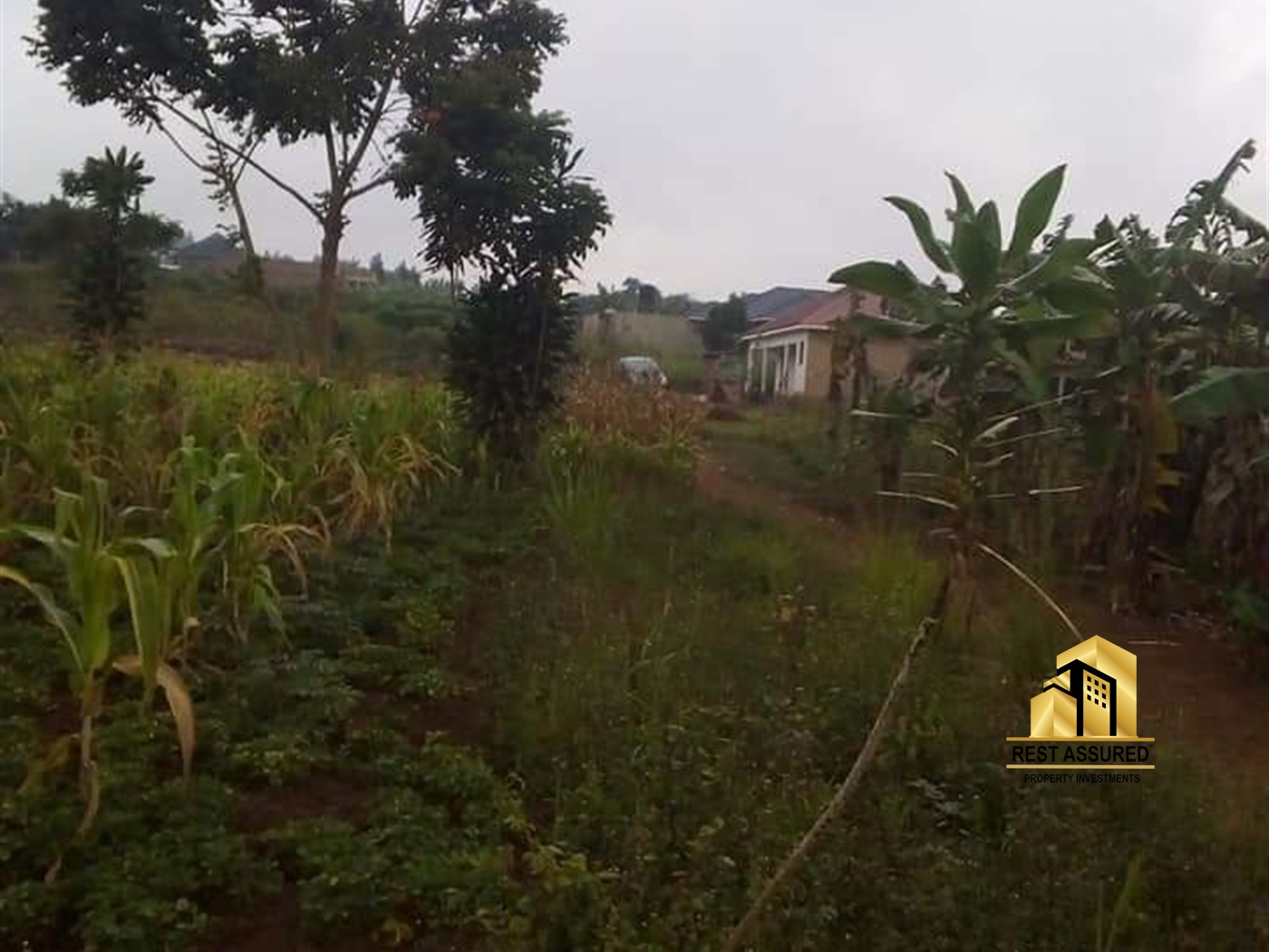 Multipurpose Land for sale in Kiroowoza Mukono