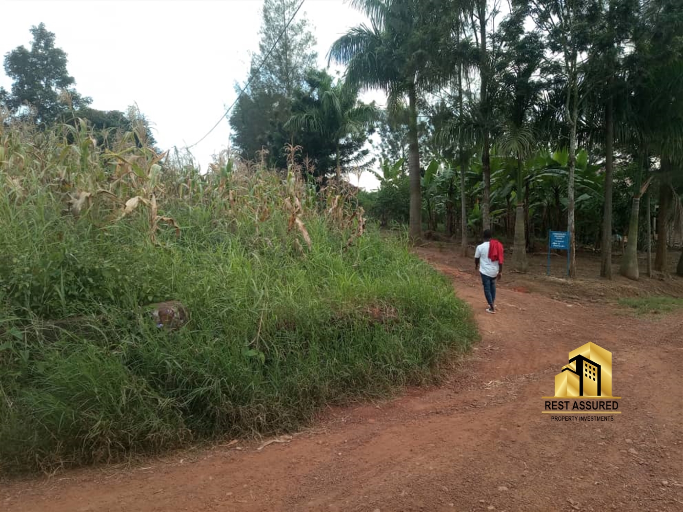 Multipurpose Land for sale in Kiroowoza Mukono