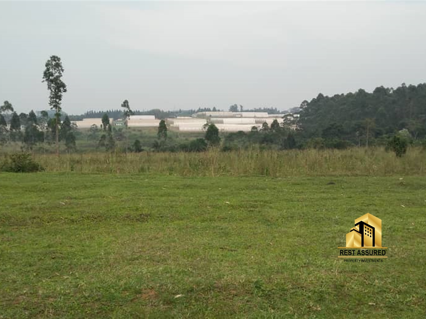 Multipurpose Land for sale in Nakisunga Mukono