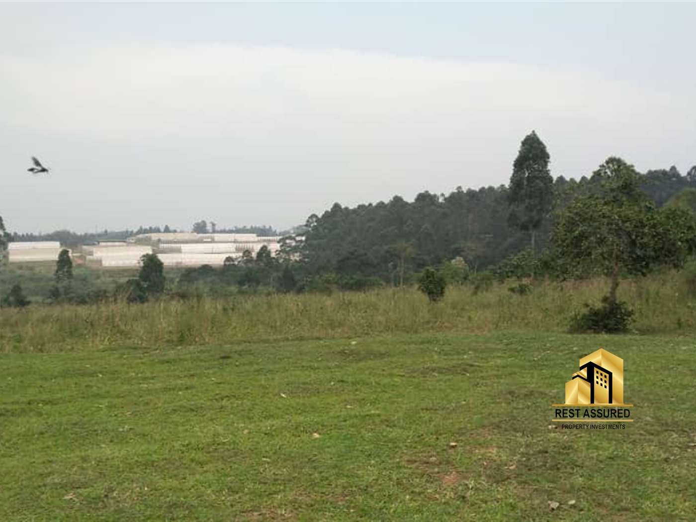 Multipurpose Land for sale in Nakisunga Mukono