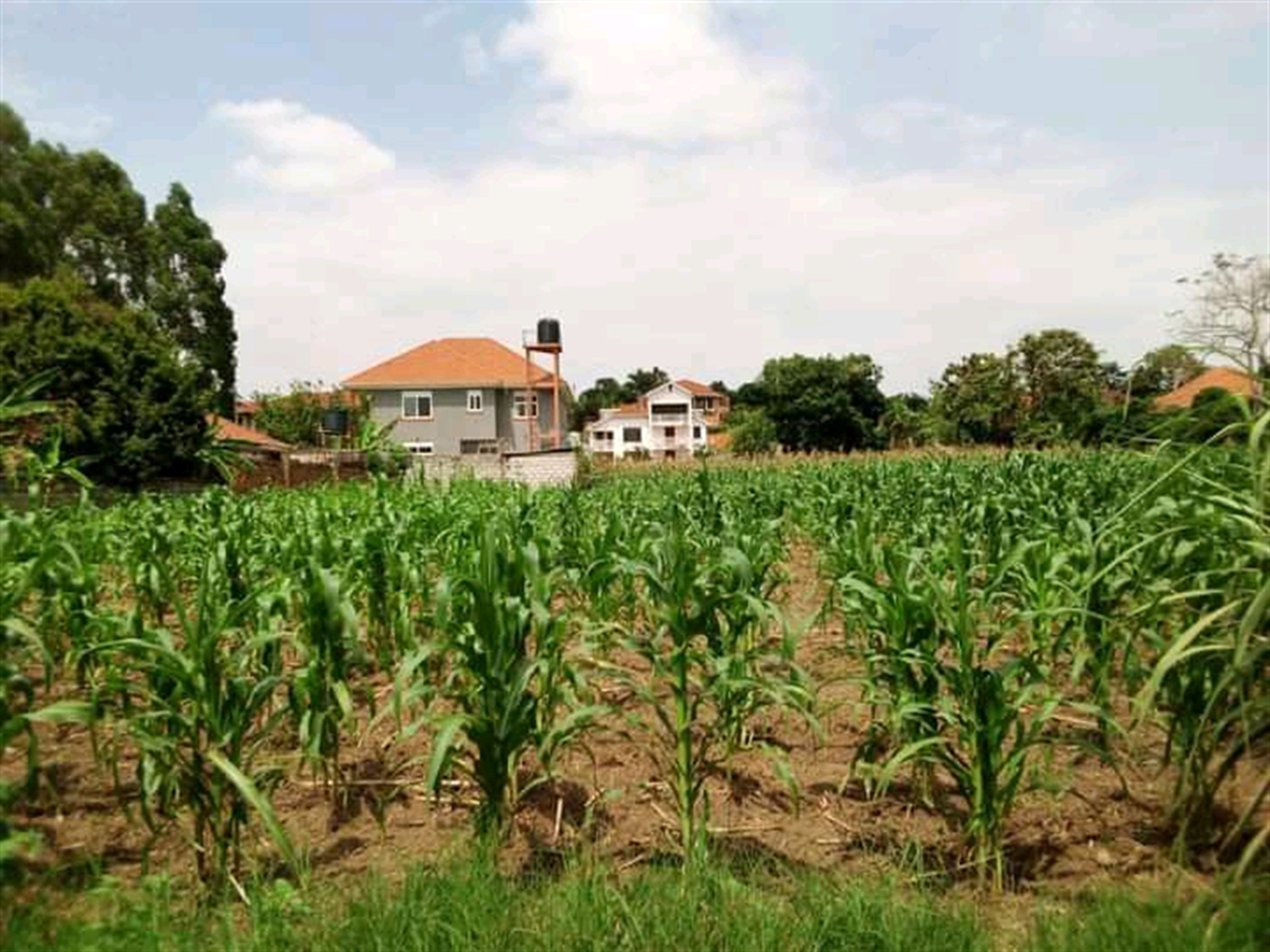 Commercial Land for sale in Muyenga Wakiso