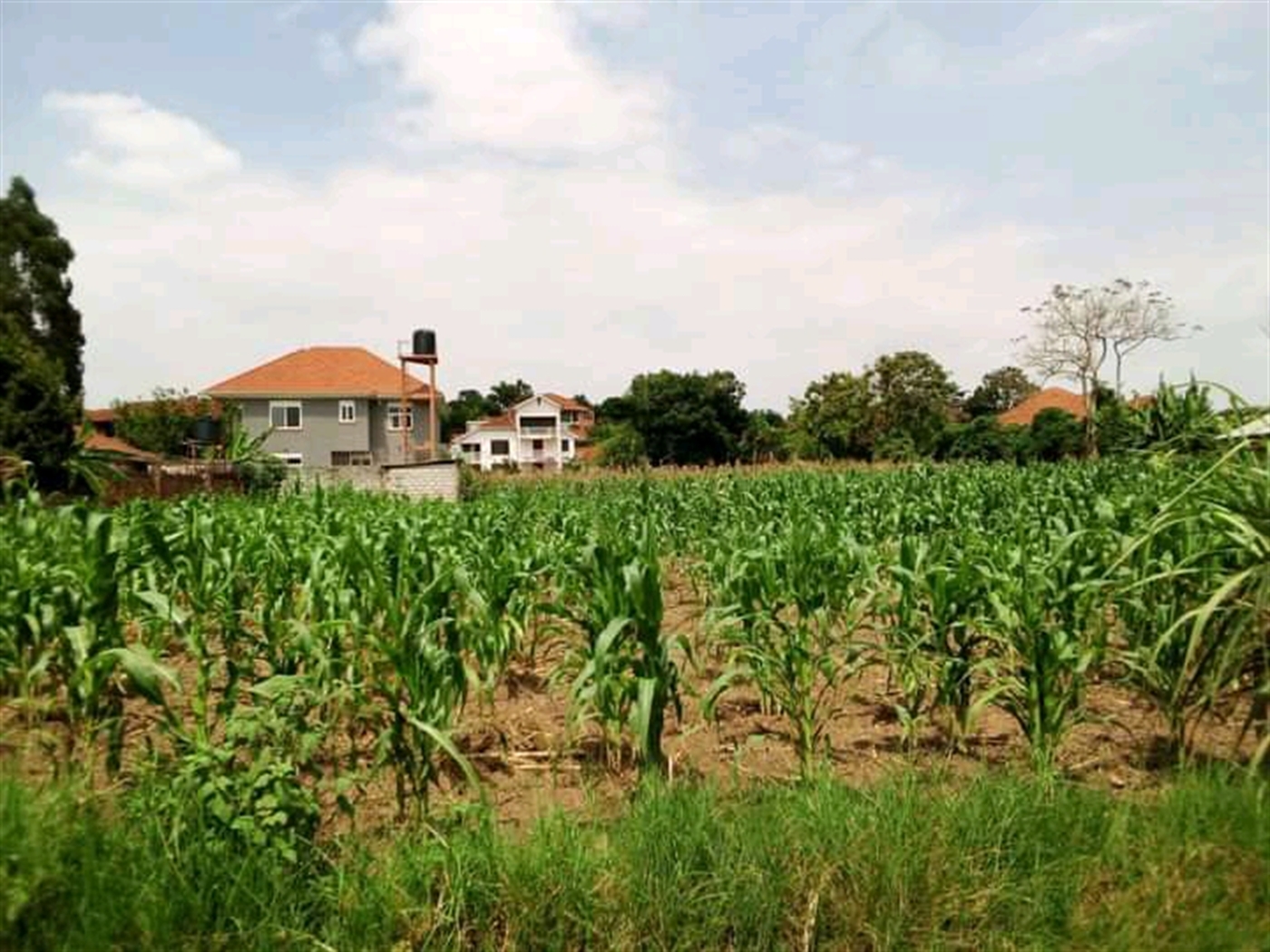 Commercial Land for sale in Muyenga Wakiso