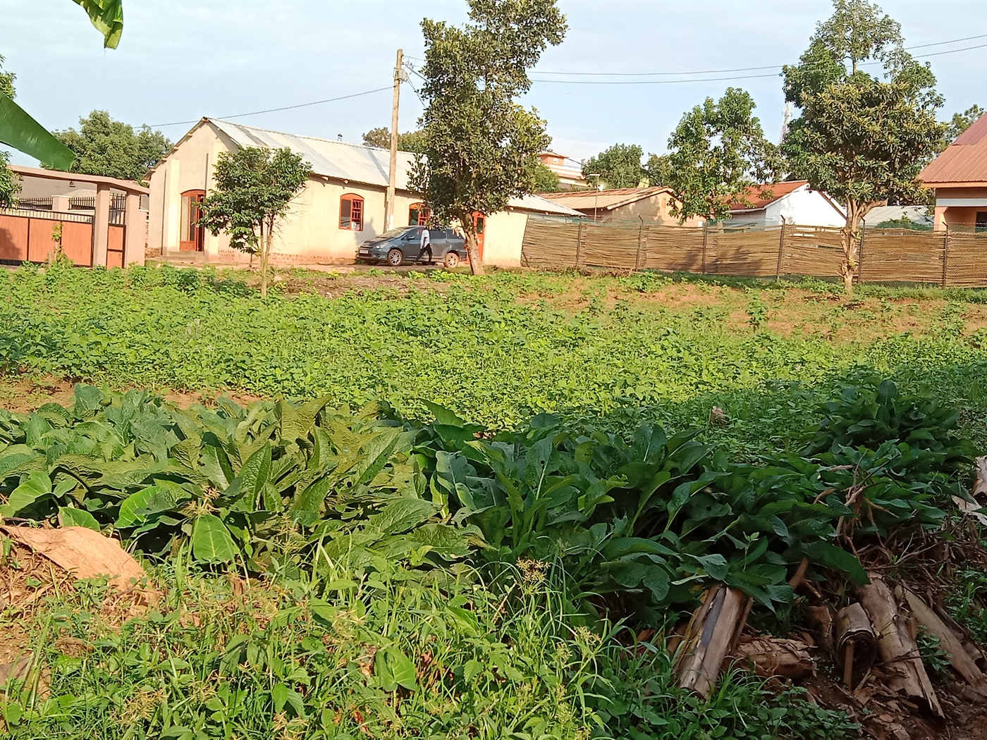 Residential Land for sale in Bukoto Kampala