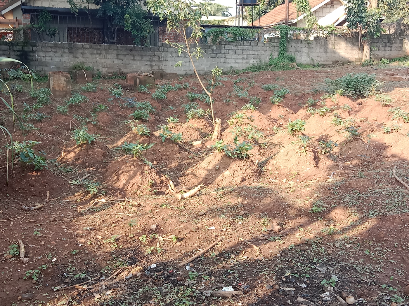 Residential Land for sale in Bukoto Kampala