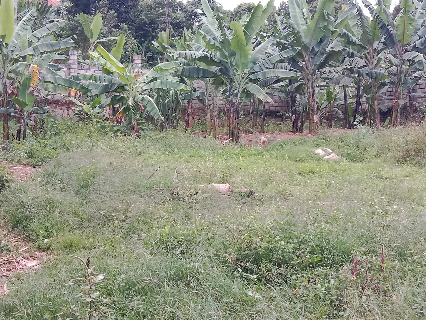 Multipurpose space for sale in Seguku Wakiso