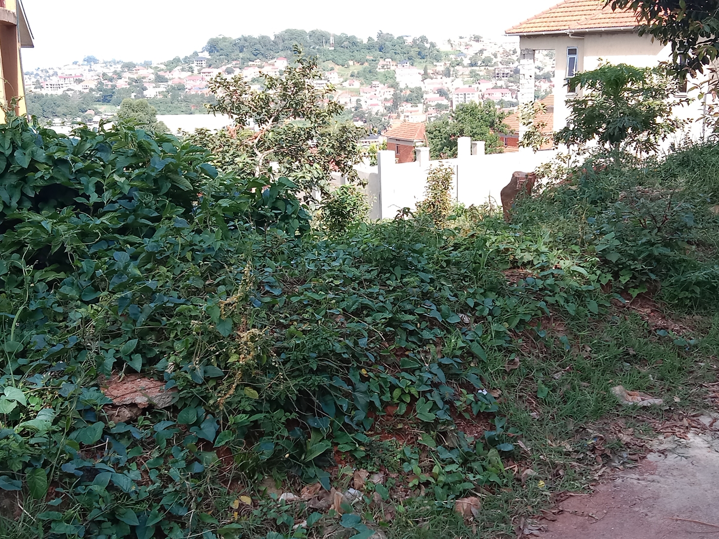 Residential Land for sale in Seguku Wakiso