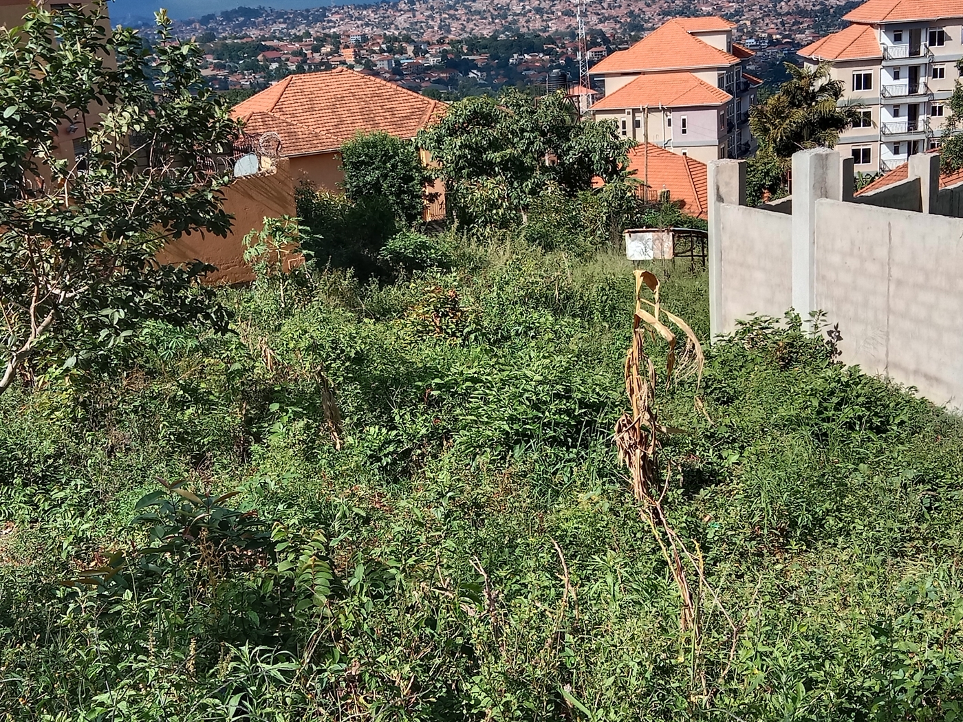 Residential Land for sale in Seguku Wakiso