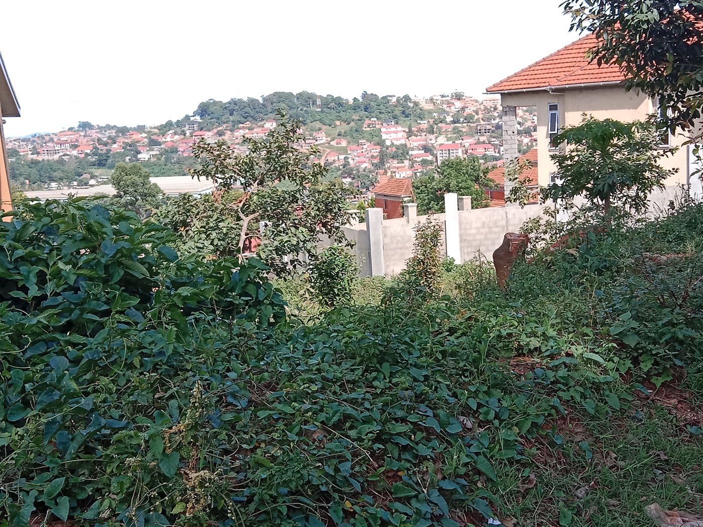 Residential Land for sale in Seguku Wakiso