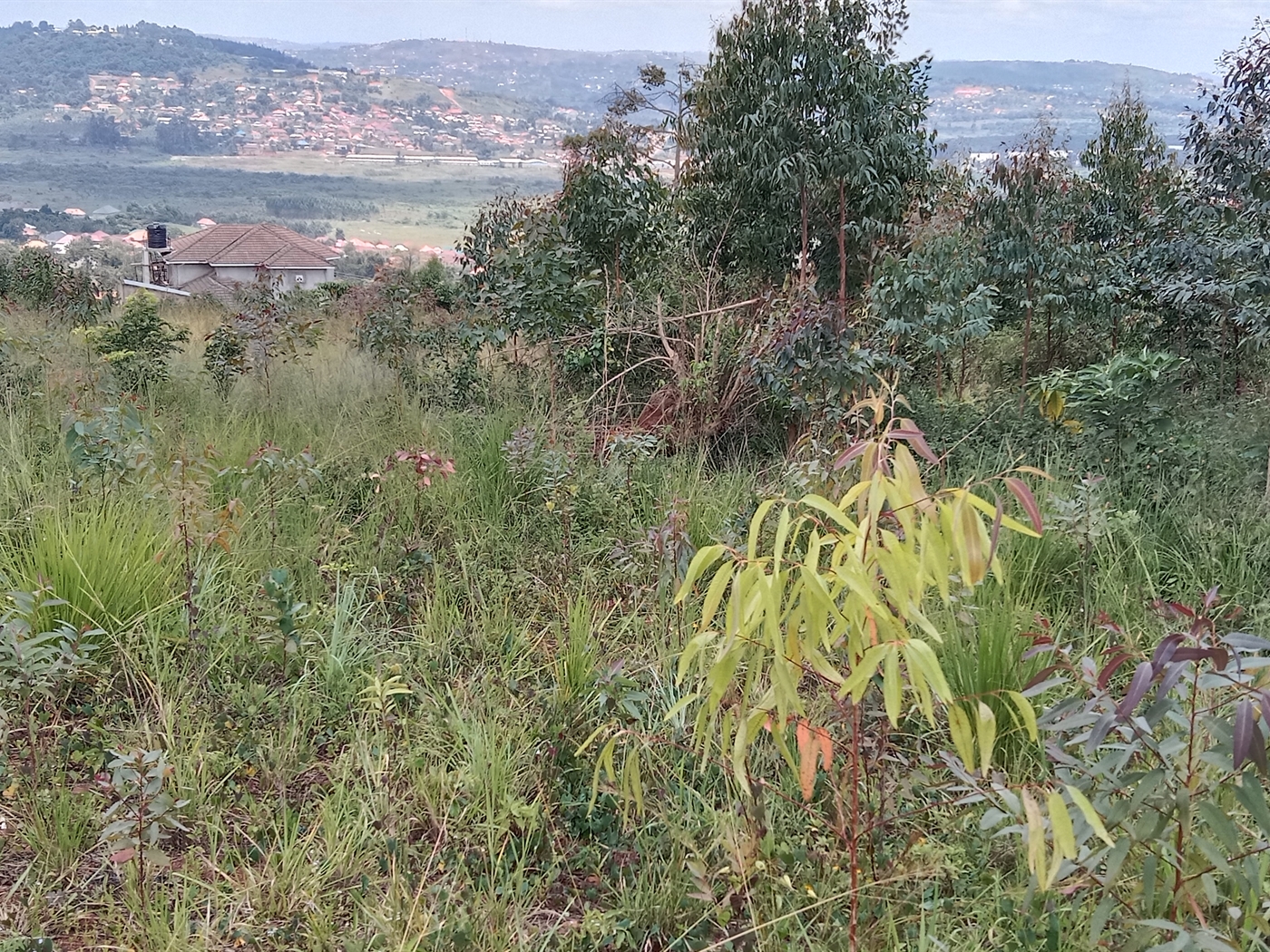 Residential Land for sale in Maya Mpigi