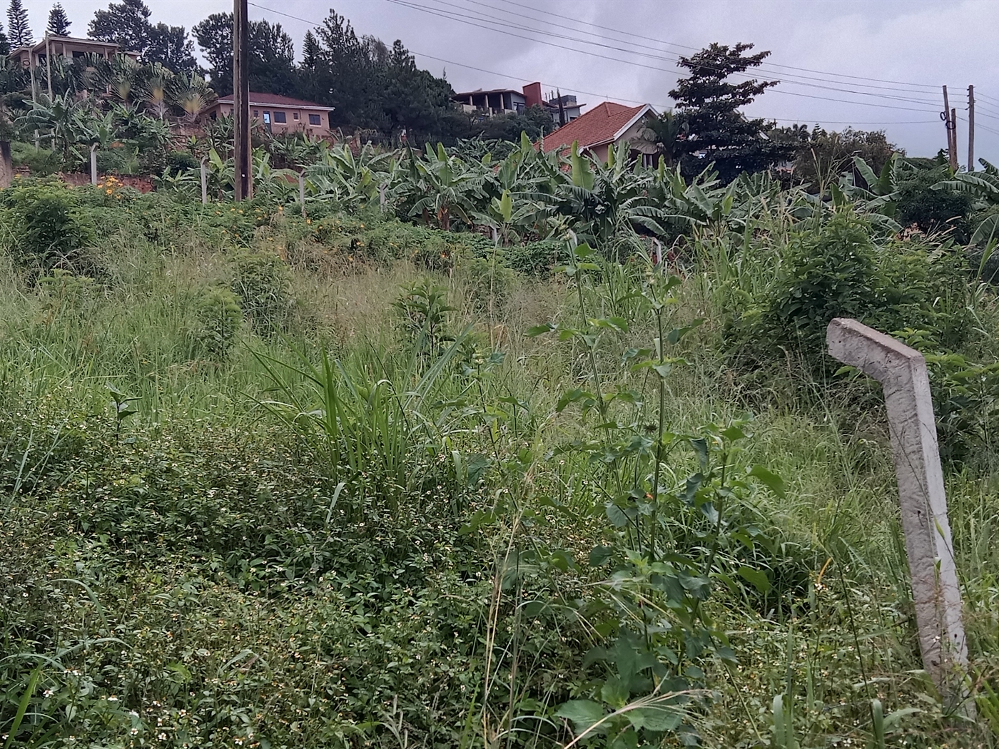 Residential Land for sale in Lubowa Wakiso